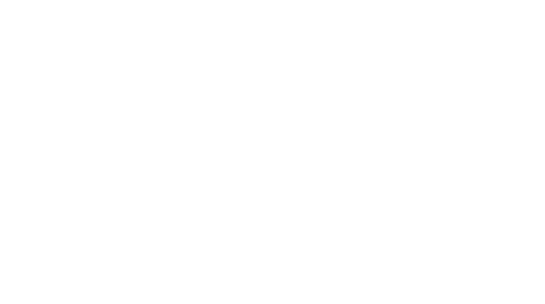 DRIVE PRIME LOGO_wep